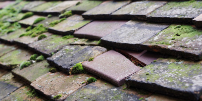 Beech Hill roof repair costs